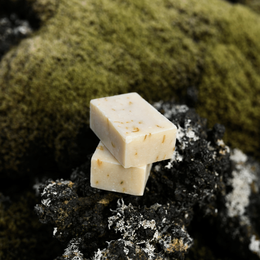 Moisturizing & Calming Solid Body Cleanser