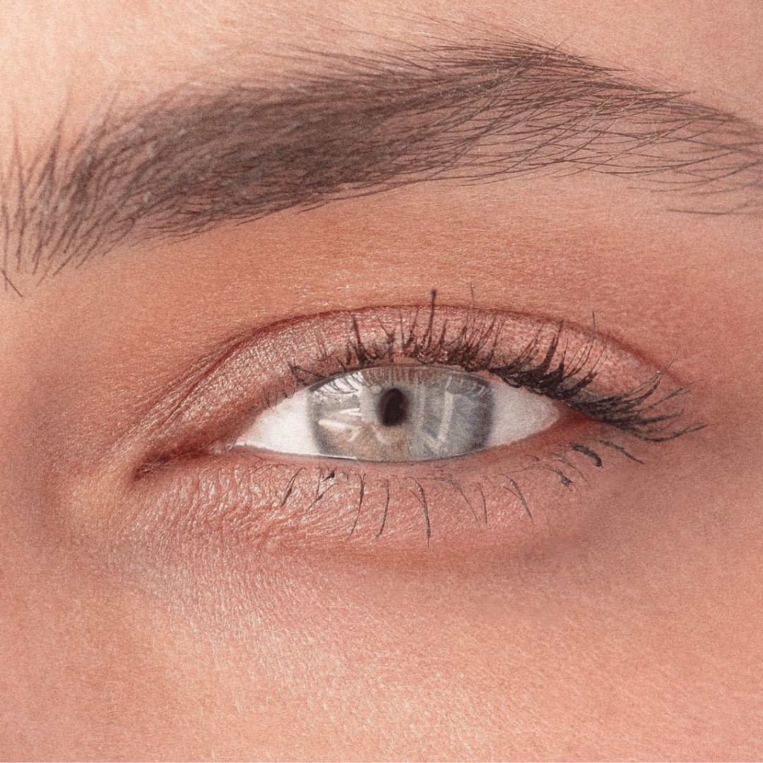 Laguna – Eyeshadows