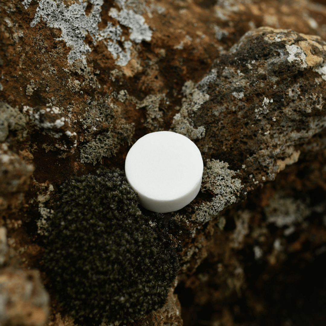Après-shampoing Solide Hydratation & Brillance