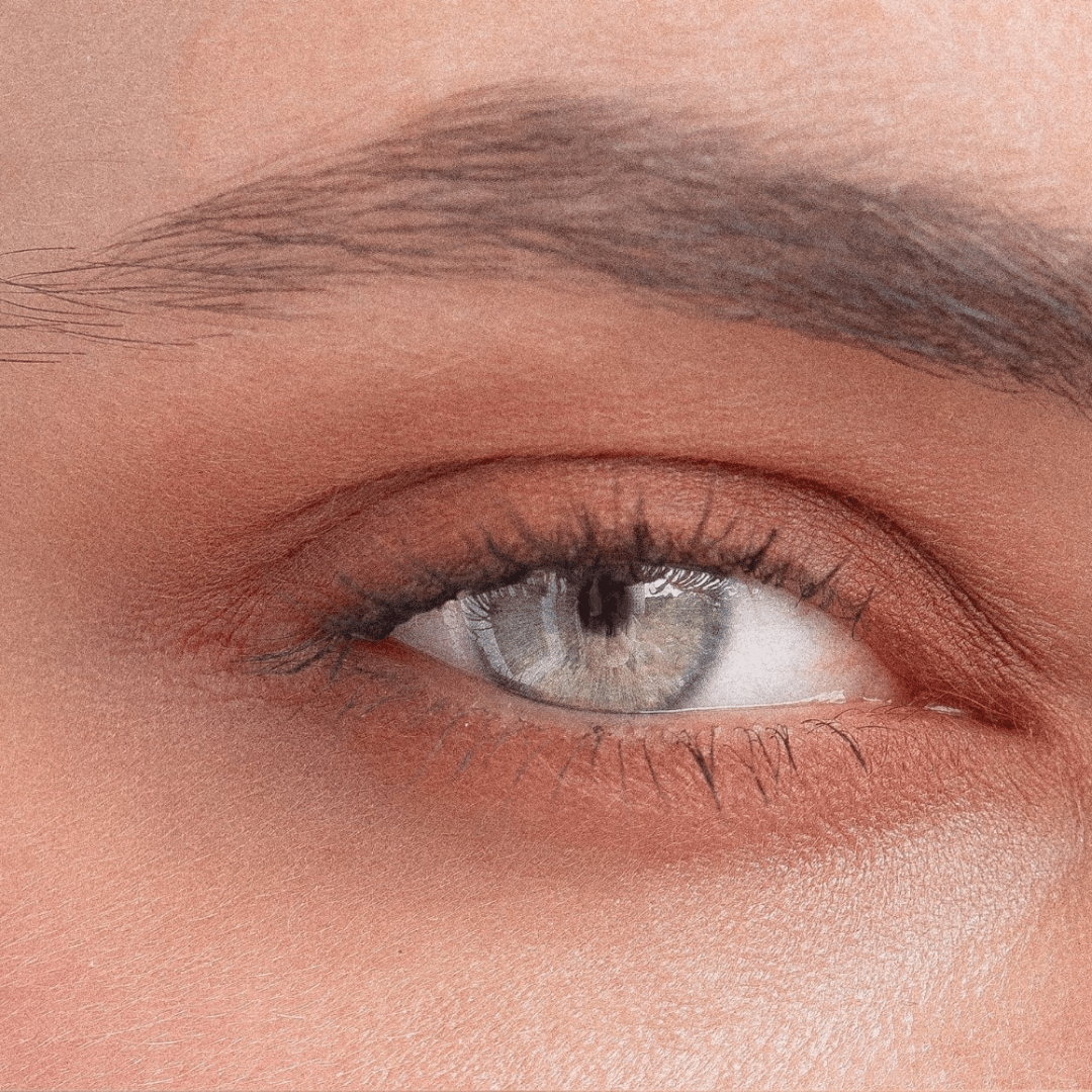 Laguna – Eyeshadows