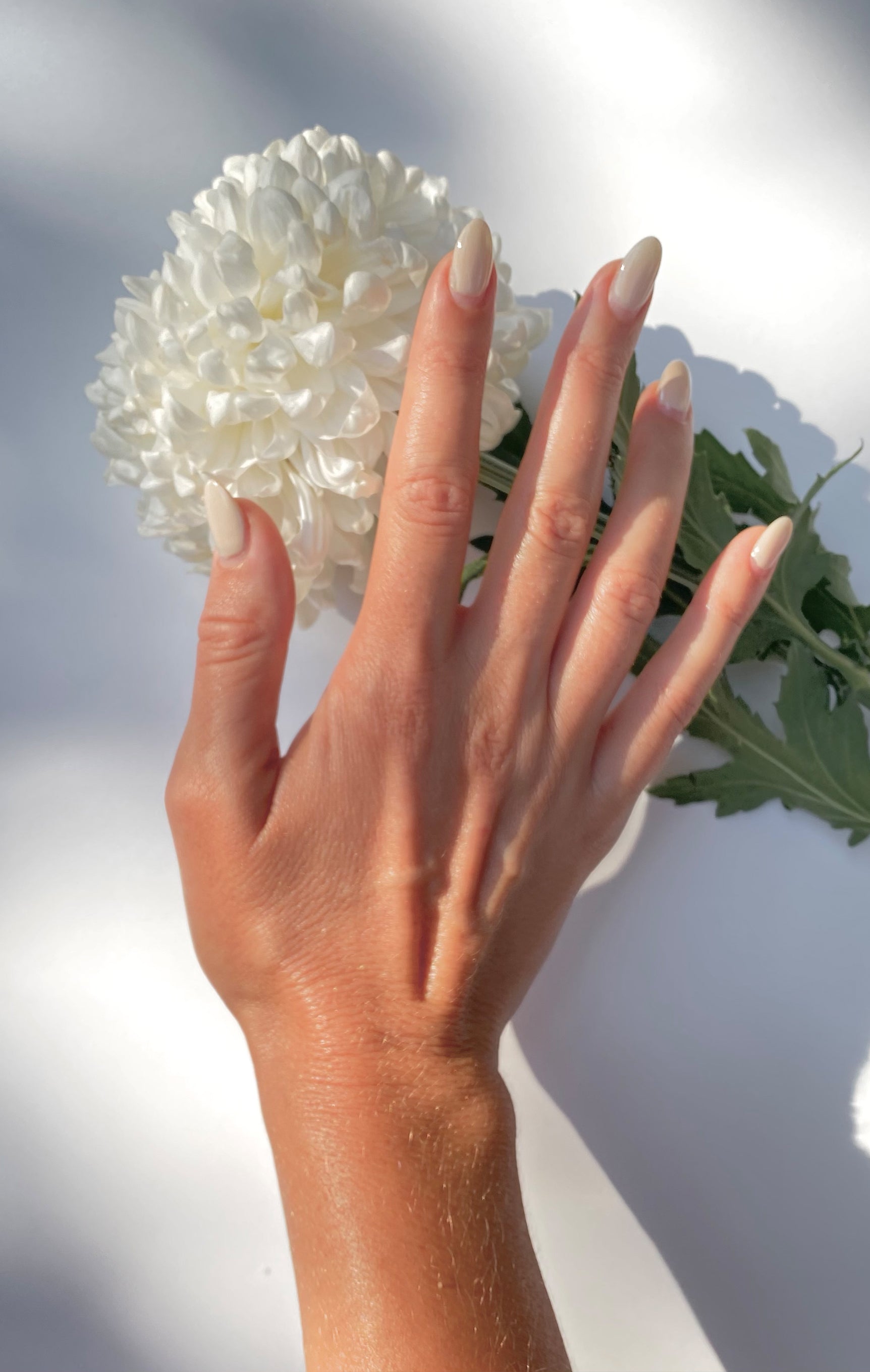 Vegan Nail Polish - JARDIN DE LYS