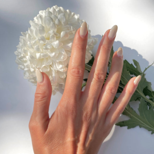 LA PREMIERE - VEGAN BASSE COAT est un agent de remplissage de crête à haute efficacité pour remplir les crêtes de surface et masquer les imperfections. Une formule opaque à base de nitrocellulose est utilisée pour un fini satiné léger.