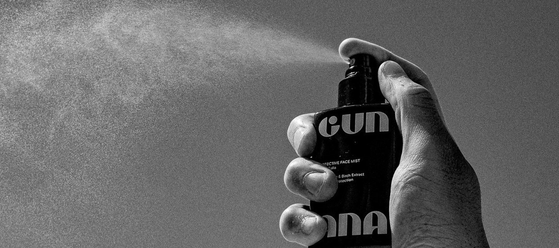Gun Ana
