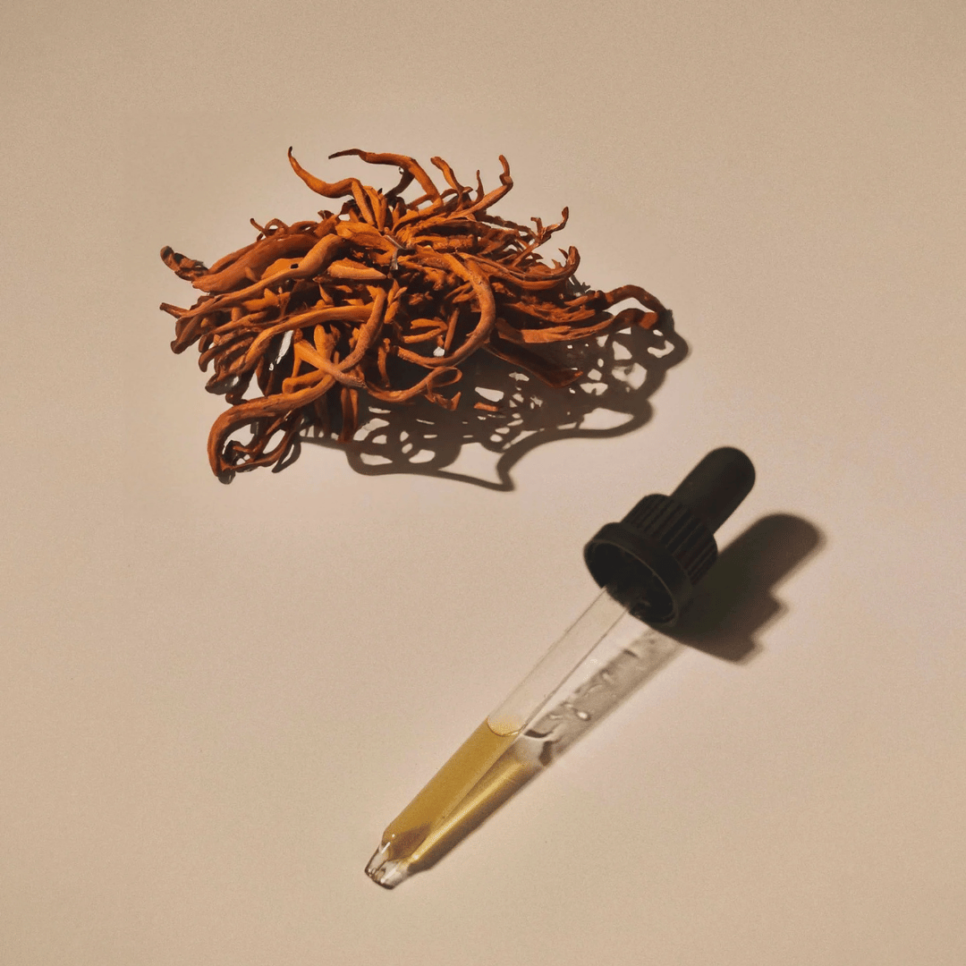 Extrait de Cordyceps Biologique - Endurance • Performance • Récupération