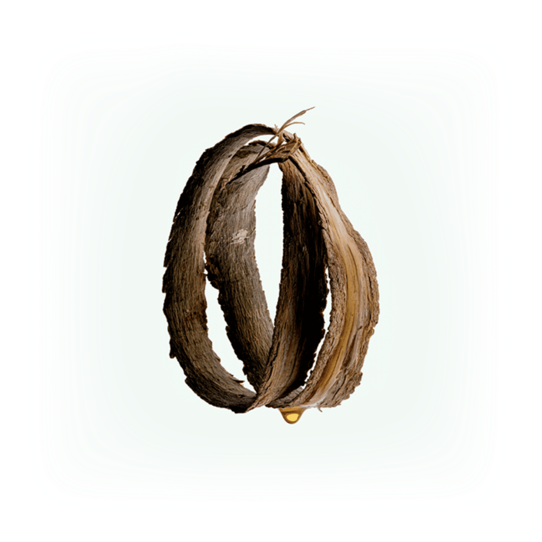 KATRAFAY Detox Body Scrub