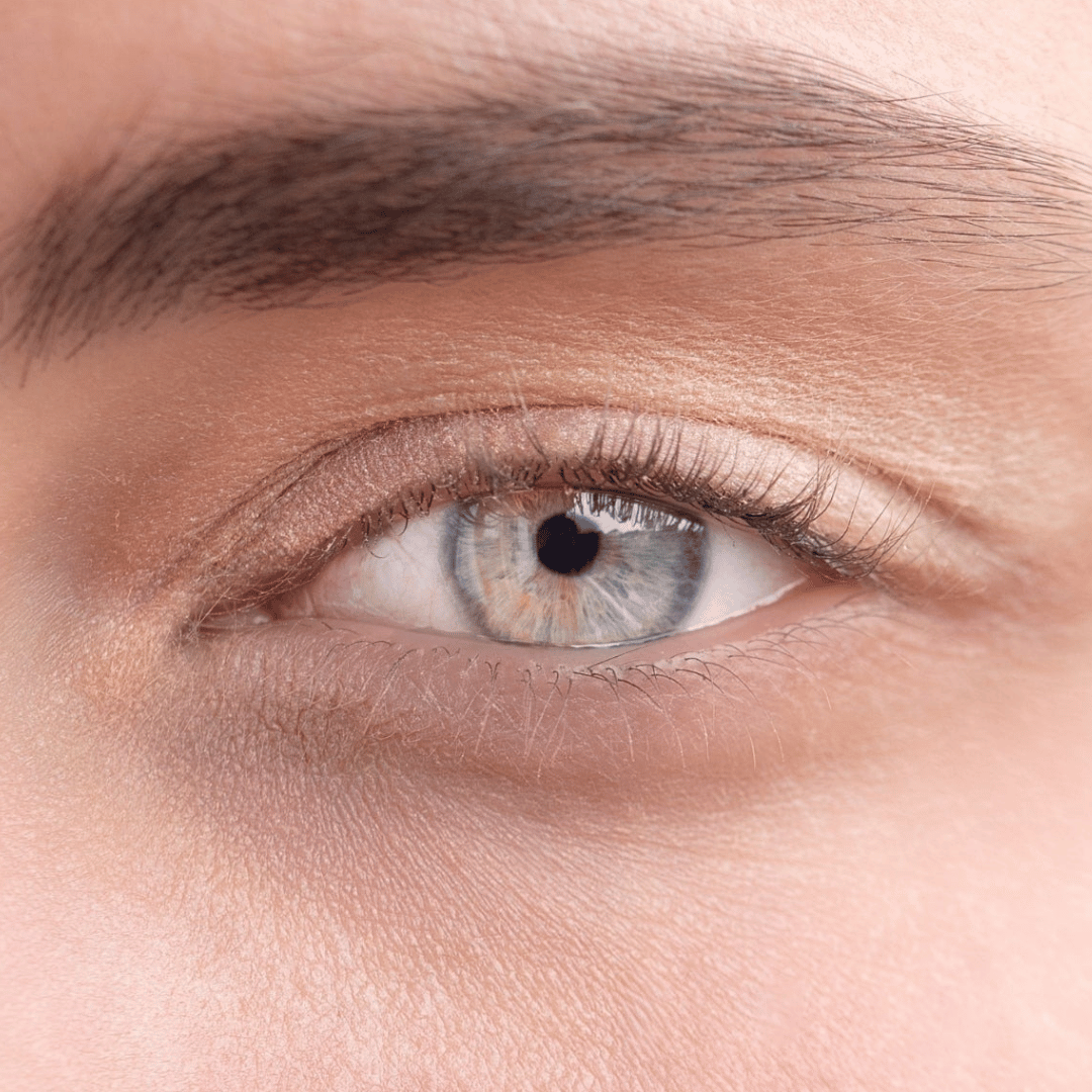 Dolce Vita – Eyeshadows