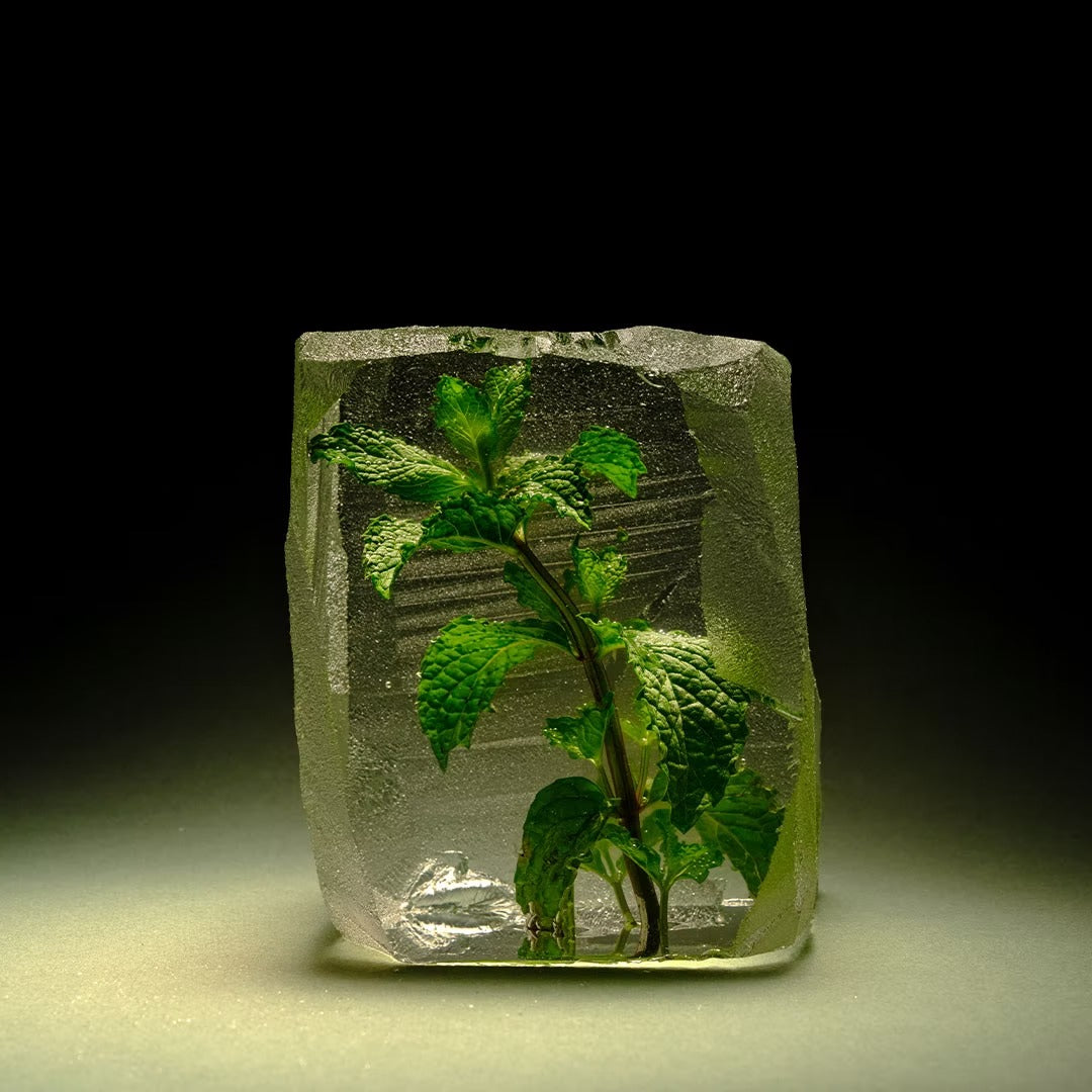 Hydrolat Menthe Poivrée [Mentha Piperita]