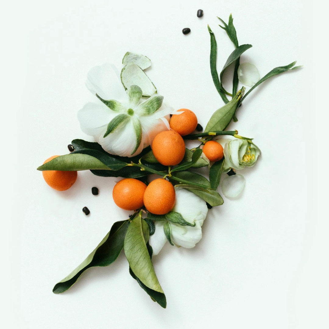 Découvrez le déodorant Neroli de la marque Corpus aux notes de Neroli, d'Orange Blossom, de Bergamote et de graines d'ambre.