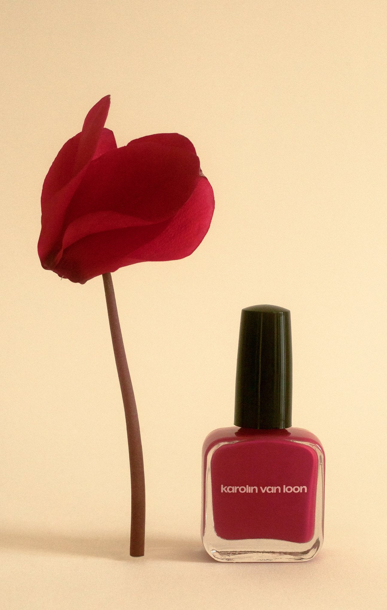 Vegan Nail Polish - RED ROCK